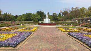 噴水が美しい公園