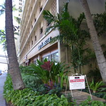 アクセスの道から