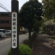 花の咲いている散歩道