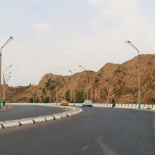 ペンペン草感あふれます