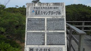 ちょうど干潮で真っ赤なカニさんがたくさんいた！