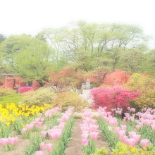 色鮮やかな公園
