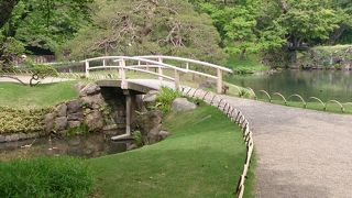 素晴らしい枝ぶり