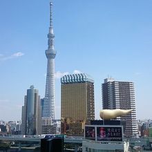 展望テラスからの眺め