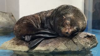 魅せ方の上手い水族館