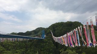 バンジーが出来る様です