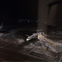 部屋からの眺め