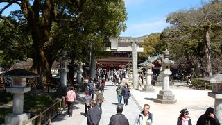 福岡を代表する神社