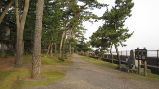 海岸沿いに松林