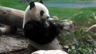 全部見たら4時間以上