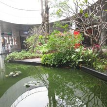 １階に小さな庭園・池があります