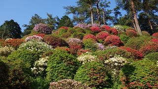 行くなら晴れた日のお昼頃