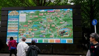 手頃なハイキング