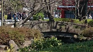 石橋(しゃっきょう）