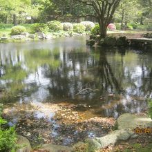 ゆったりとした気持ちになります。