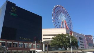 鹿児島中央の繁盛を支える