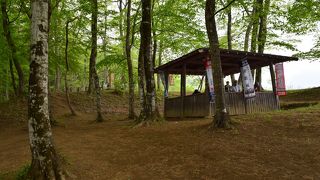 武田三堅城 【岩櫃城跡】