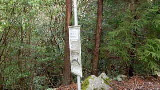 紀元杉バス停が終点であり始発であるのでその待ち時間を利用して行きました。