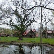 絵を描く人にも人気のスポットです