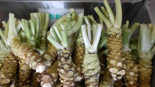 生わさびが買えます。