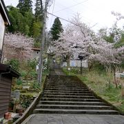 桜の季節は登っても良い公園だが，眺望は期待できない