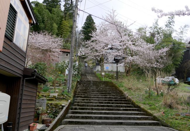 桜の季節は登っても良い公園だが，眺望は期待できない