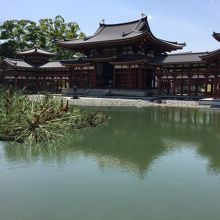 池に映る鳳凰堂、シンメトリーが綺麗