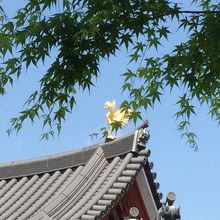 屋根の上の鳳凰