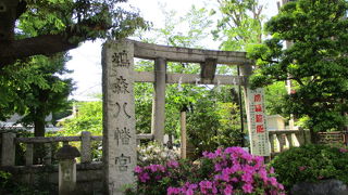 拝殿の天井画お奨めです～