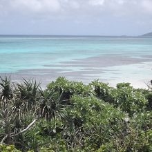 珊瑚礁のきれいなビーチ