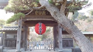 広々とした境内と四季の花が楽しめる