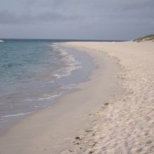 白砂がきれいな遠浅のビーチ