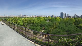 歴史好きの男の子に