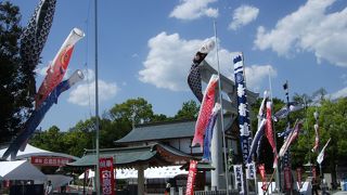 ５月は鯉のぼりがたくさんの神社