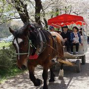 このすごさは実際に見ないとなかなか分からないと思います