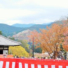 左手の建物は愛染堂。