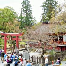 天満宮もあります。