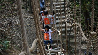まるでサスケの本格的アスレチック