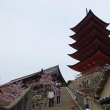 階段の下から見上げた五重塔