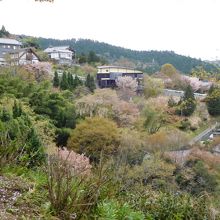 御幸の芝からの眺め