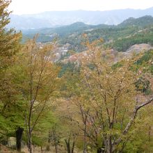 社前からの眺め