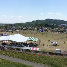 初節句の息子に大きな鯉のぼりを見せたくて