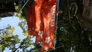 階段を上ります。