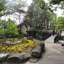 入園無料 足湯もあります By Pisiri ハーブ庭園旅日記のクチコミ フォートラベル
