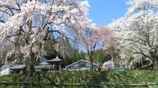 宝蔵寺