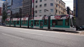 観光の強いお伴