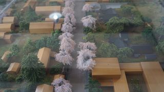 気がついたら寄ってみるくらいかなあと思います