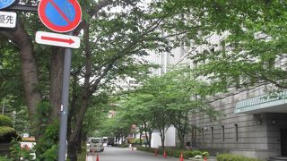 桜が満開の時にも見てみたいと思いました