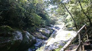 途中まででも楽しめます