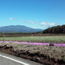 ドライブもサイクリングもいいです。